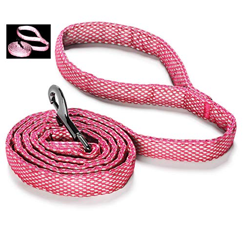 Embark Illuminate Reflektierende Hundeleine, 152 cm lang und 2,5 cm breit, Hundeleine für große Hunde, aus reflektierendem Leinen-Material (klein/mittel, rosa) Cover