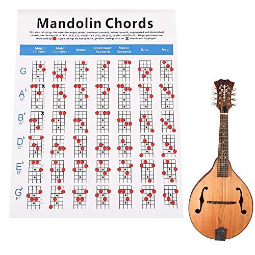 Best Mandolin Chords For Dummies 2023 Where to Buy?