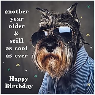The Heritage Press 'Another Year Older and Still as Cool as Ever' Fun Dog Birthday Card with Envelope - Made in UK - Eco-Friendly - 150X150mm
