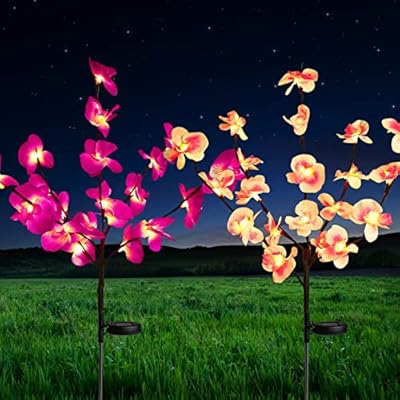 Pink and White Solar Orchid Cluster Lights