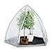 Produktbild Waldbeck Greenshelter Überwinterungszelt Folienzelt, Winterschutz für Pflanzen, Pflanzenzelt, Ø25 mm Stahlrohr, PVC-Gitterfolie, Schnellstecksystem, sicherer Halt, 12 kg, 240 x 200 cm, weiß-grau