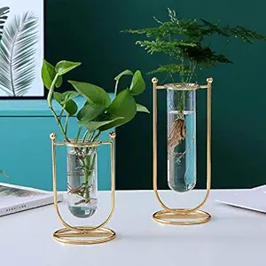 Desktop Glass Planter Hydroponics Vase Glass Propagation Station With Modern Creative Geometric Metal Frame Test Tube Vase For Home Office Decor Table Top (Set Of 2), Blue