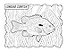 Freshwater Fish of the Northeast Coloring Book: Color & Learn About Amazing Fish that Lurk in our Lakes, Streams, and Rivers (Design Originals) Coloring Pages for Nature Lovers - One-Sided Designs