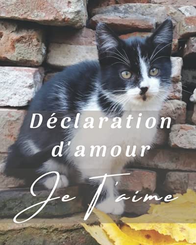 Déclaration d'Amour: AM-025 Déclarez lui votre flamme, votre amour en lui écrivant ce petit livre Déclaration d'Amour: AM-025 Déclarez lui votre flamme, votre amour en lui écrivant ce petit livre