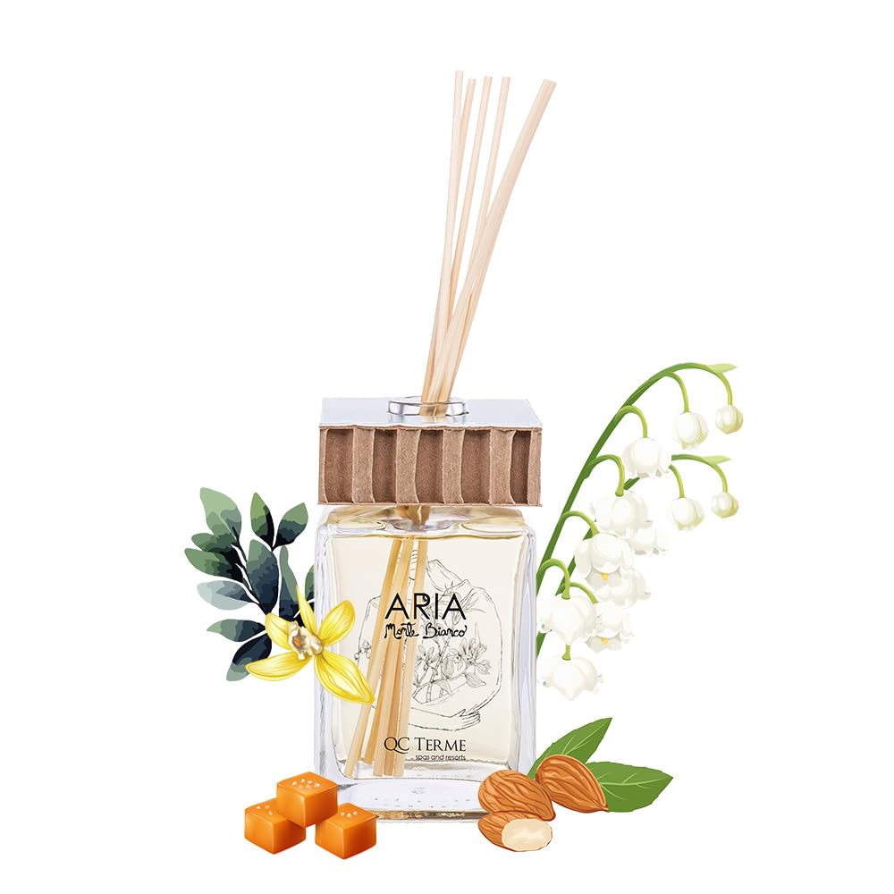 QC Terme ARIA MONTE BIANCO, Profumatore per ambiente in vetro a bastoncini 250 ml, Fragranza gourmand con note di vaniglia, caramello e zucchero filato, Made in Italy