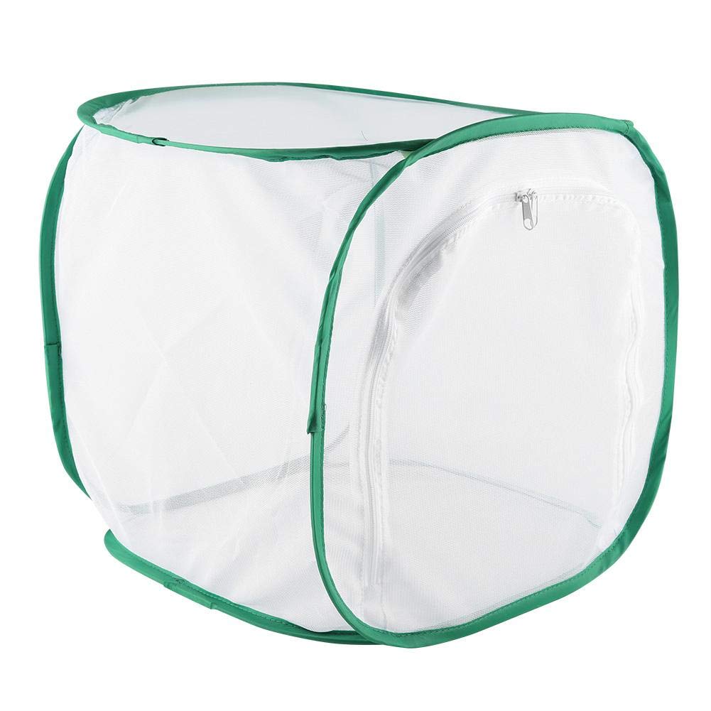 Grande Cage d'habitat pour Insectes et Papillons, Cage d'élevage ventilée avec matériau en de Fil de Polyester, Habitat Portable en Chenille, pour cultiver des Insectes (30 x 30 x 30 cm)