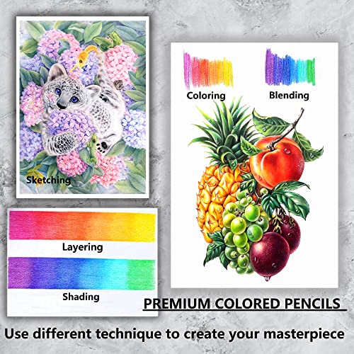 KALOUR Professional Colored Pencils,Set of 300 Colors,Artists Soft Core with Vibrant Color,Ideal for Drawing Sketching Shading,Coloring Pencils for Adults Artists Beginners 4 51 aB+d+R5L