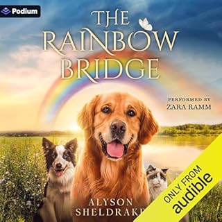The Rainbow Bridge cover art