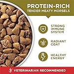 Purina ONE Dry Dog Food Lamb and Rice Formula - 31.1 Lb. Bag - Image 2