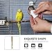 Alasum Bird cage Cleaning Tool Bird Poop Cleaning Tool Wide Bird cage Hamster Habitat Cleaning Tool Cleaning for Household use Metal Poop Brass The Bird Long Handle