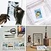 Optiazure Transparency Film, Overhead Projector Film for Laser Jet Printer and Copier, Letter Size 100Pack Sheets, Office and School Supplies