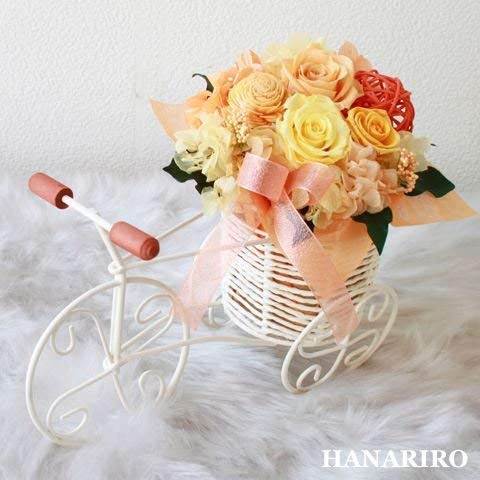 Amazon｜プリザーブドフラワー (クリアケース六角L 付き/三輪車