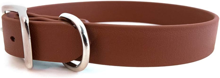 Sparky’s Choice Vinyl Coated Collar of Size 1 x 26 inches, Classic Flat Style available in Green with a Nickel-Plated Buckle, A Festive Choice for Medium and Large Dogs, Made in The USA