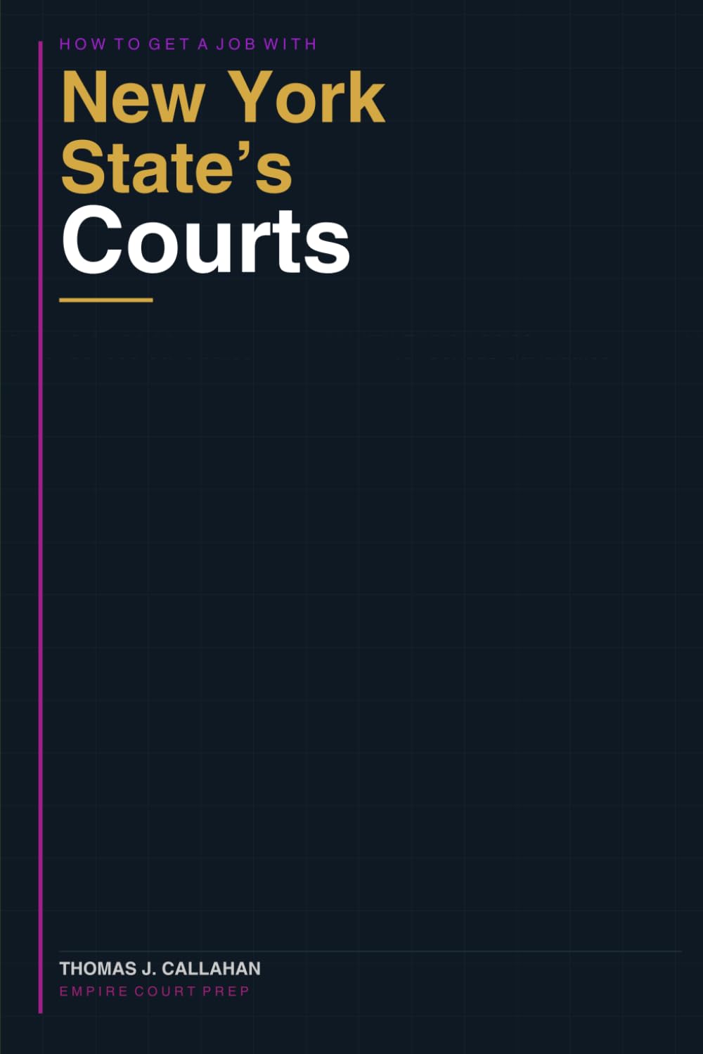 How to Get a Job with the New York State Court System: A Plain-English Guide for Serious Candidates (Empire Court Prep Guides to the NYS Courts)