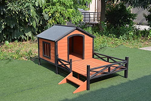 pets which dog house best patios