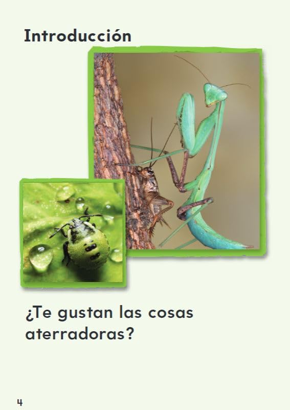 !Locos por insectos y aranas! (Going Buggy) (Spanish Version) (TIME FOR KIDS(r) Nonfiction Readers) (Spanish Edition) - Image 4