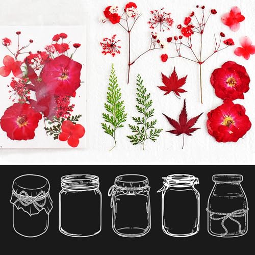 2025 j[TEUht[  20/40/60/100 DIY  hCt[  Lbg AN NA W[ XebJ[ t ԗp (bh 2Zbg)