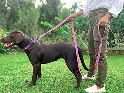 Tuff Pupper Heavy Duty Double Handle Dog Leash | Twist Locking Carabiner Dog Clip | Safety Lock Leash To Hold Strong Dogs | Reflective For Safe Night Walks | 6 Foot Dog Leash | For Medium & Large Dogs #TOP7