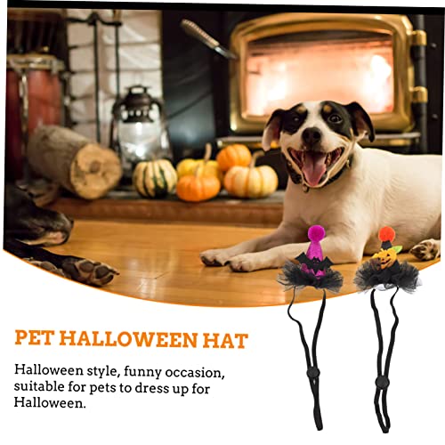 Chapeau Halloween pour chat et chien | Décoration drôle RLKHXBS