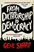 From Dictatorship to Democracy