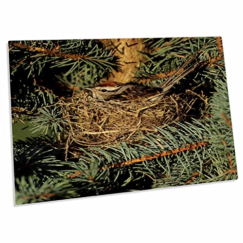 Alfombrilla grande para escritorio 23x16 pulgadas goma miniatura 1