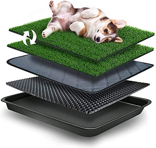 GoldOuya Dog Grass Pad 50x60 CM with Tray