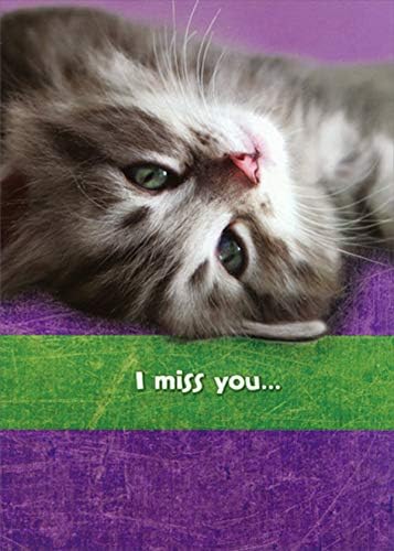 Designer Greetings Upside Down Gray Kitten Face Funny : Humorous Miss You Card