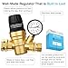 Renator RV Water Pressure Regulator for RV Camper. Brass Lead-free Adjustable Water Pressure Regulator with Gauge for Camper Travel Trailer, Reducer Valve W Filter. M33-0660R.