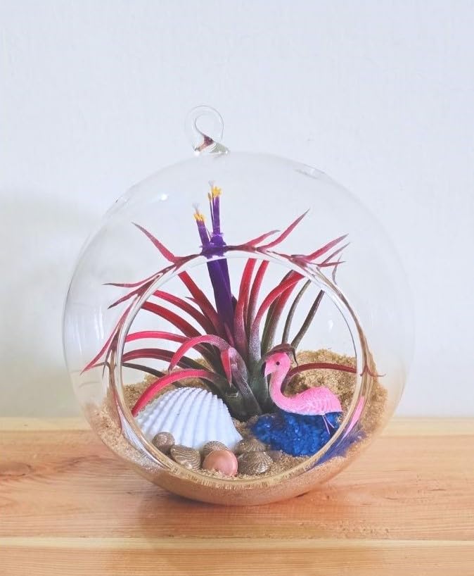 Purely Prime - DIY Terrarium Kit | 4" Glass Globe and Material Gifting or DIY Projects | No maintainence (Flamingo Figurine, Plant and Other Decorative Material Included).