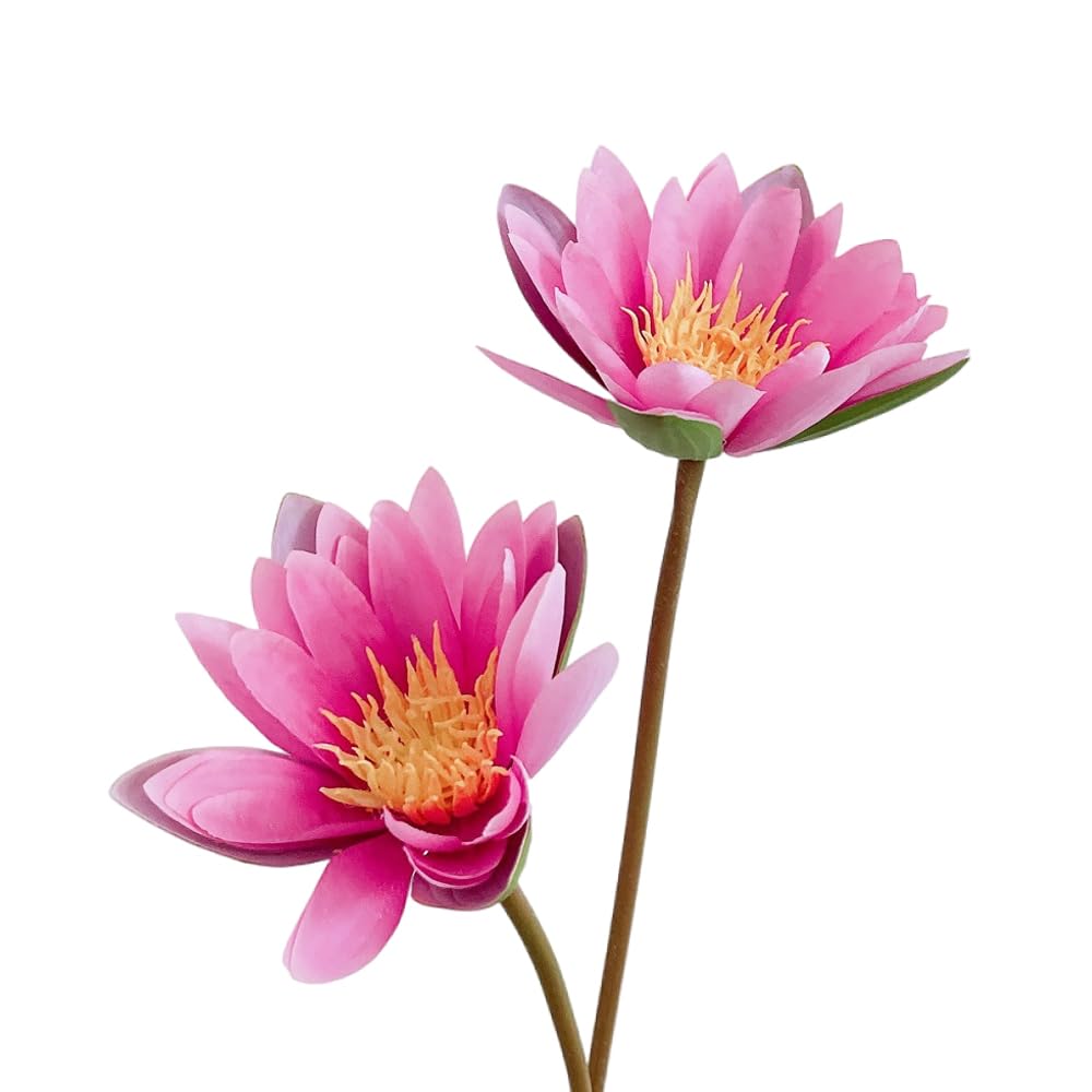 BQEE Artificial Water Lily Bouquet, Artificial Lotus,60cm/23.6 inches, 2 Flower Sticks for Wedding, Home, Office Decor (fuchsia)
