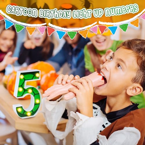 LED Number Lights Cartoon Themed Birthday Decorations LED Light Up Number Centerpieces Table Decorations for Party Supplies Backdrop Wall Decor for Birthday Party Decorations (Number 5)