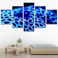 SIGNWIN 5 Panel Canvas Wall Art Deep Under for Home Decorations Ready to Hang - 60