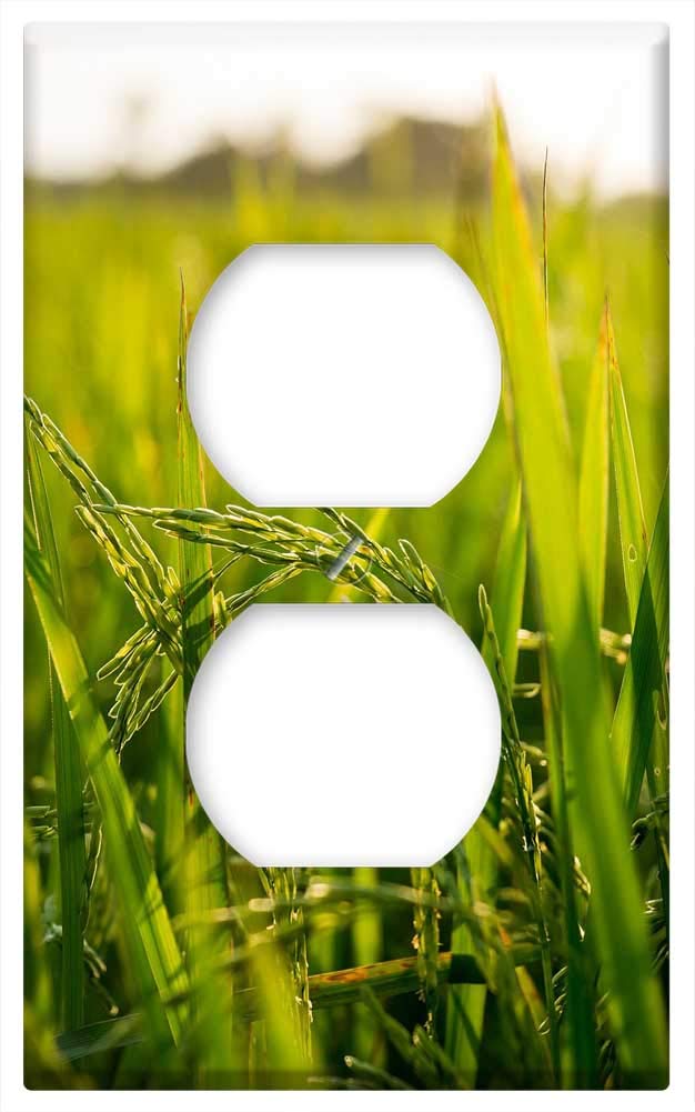 Switch Plate Outlet Cover - Rice Field Farm Nature Plant Asia Agriculture 2