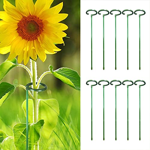 libelyef 10 stuks enkele steel-plantensteunen - enkele steel bloemen-steunpalen, tuinwijnstokken planten-kooi-steunring… - Image 3