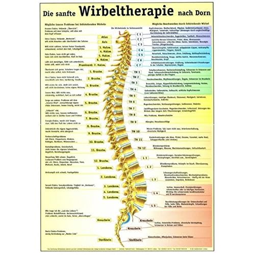 NSC - Natural Spinal Care Die sanfte DORN-Methode (Din A3) Wandbild Wohnzimmer