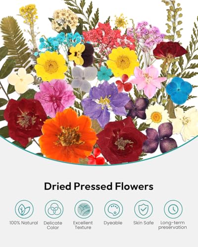 Image of Dried Flowers, Resiners 174Pcs Pressed Flowers for Craft Colorful Real Natural Dried Flowers Dry Leaves Kit for DIY Making Crafts Resin Soap Candle Scrapbook Supplies Card Making Jewelry