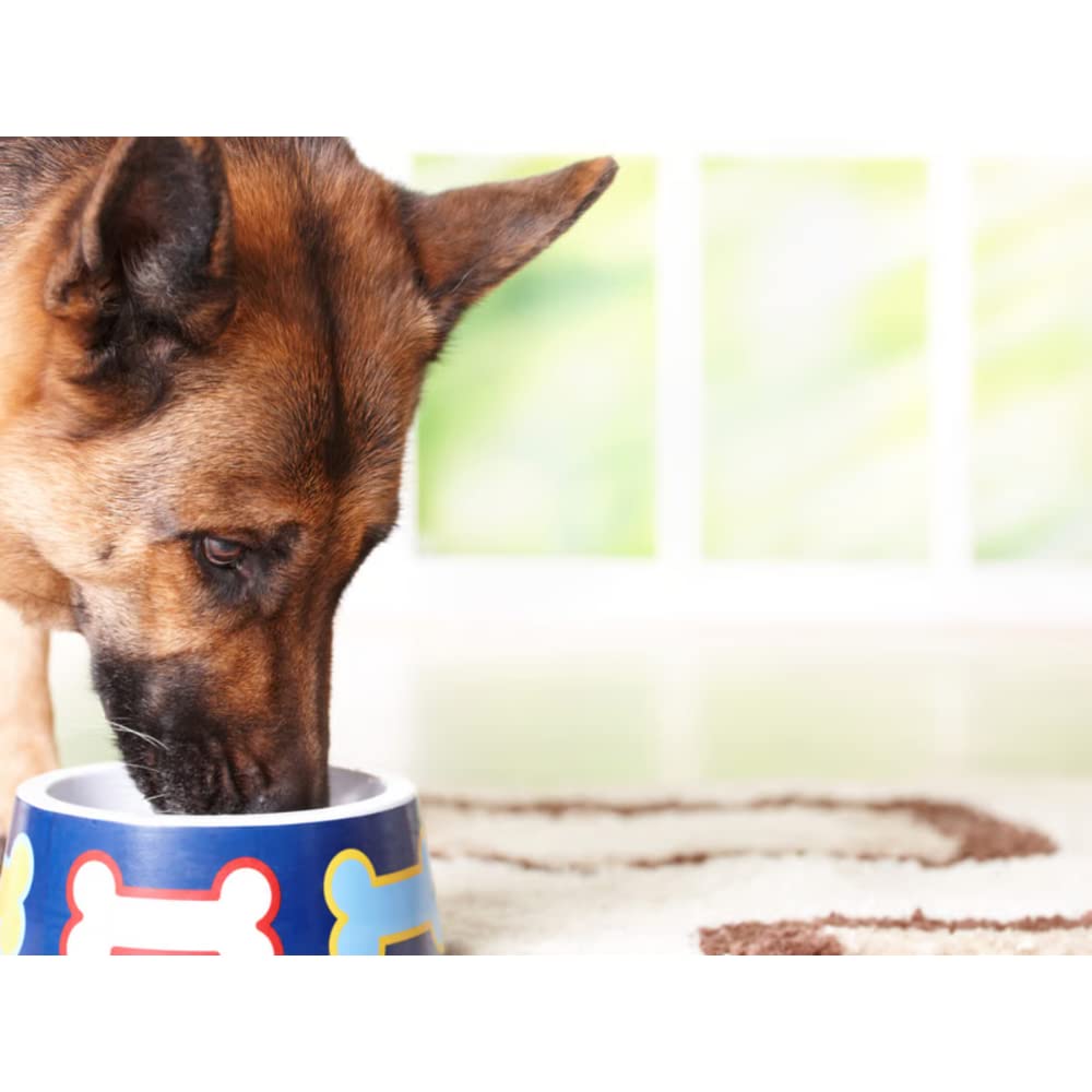 EL HAYEDO Pienso para Perros con Buey, Pollo y Arroz Alta Energía con Vitaminas - 20 Kg