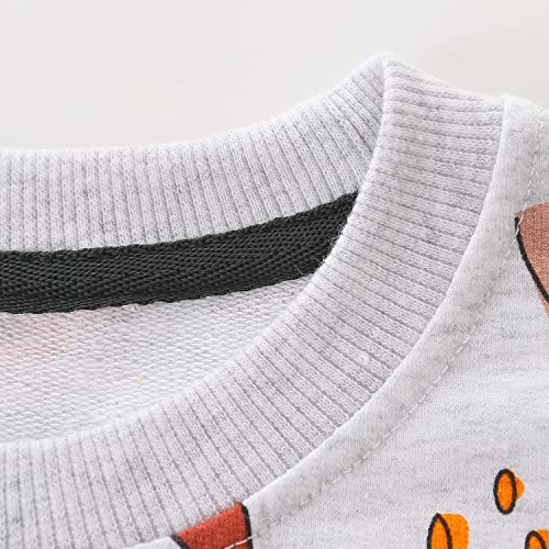 Bumeex Toddler Boy's Sweatshirt Clothes,Dinosaur Crewneck Long Sleeve Shirt Top Outfit Grey Dinosaur 3T #TOP3