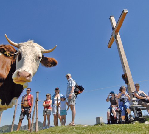 Schliersee - Wendelstein: Wanderkarte mit Ausflugszielen, Einkehr- & Freizeittipps mit Radwegen und Mountainbikerouten, wetterfest, reissfest, abwischbar, GPS-genau. 1:25000 (Wanderkarte / WK)