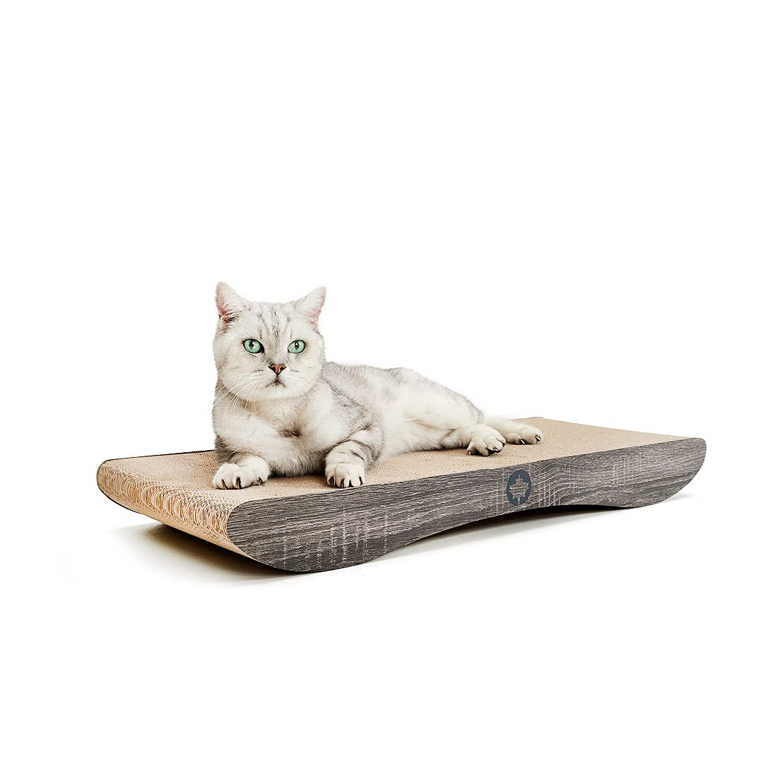 CanadianCat Company Krabpaal Maine Coon Ottawa antraciet - Pets Gifts