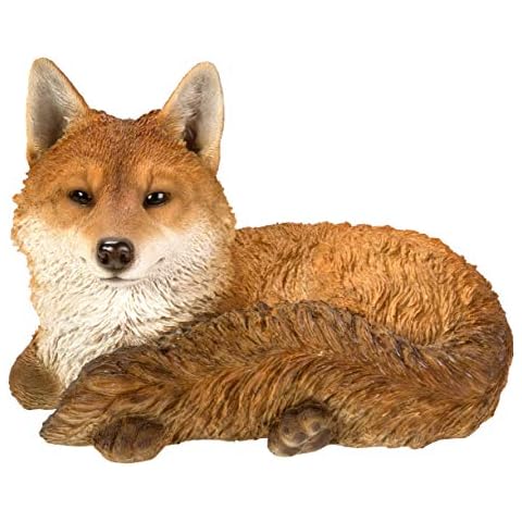 Renard au repos Vivid Arts Cover