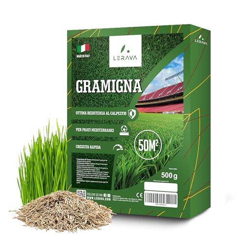 LERAVA® Semi Gramigna per Prato [Calpestabile] - 50m² - semi prato gramignone resistente alla...