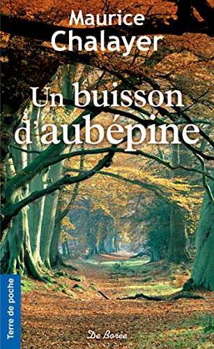 Un buisson d'aubépine (Terre de poche) (French