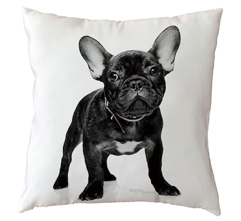 The Beach Stop Decorative French Bulldog Dog Scatter Cushion Cover | Home Decor Inspo | Gift Idea for Frenchie Lovers | 45x45cm 18x18” | Black French Bulldog