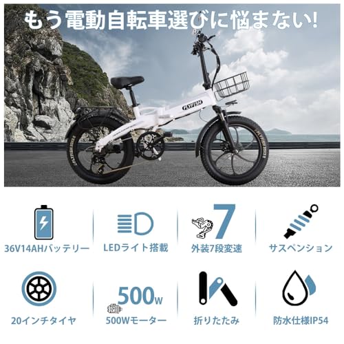 FLY FISH 電動自転車 F20EW の商品画像 2