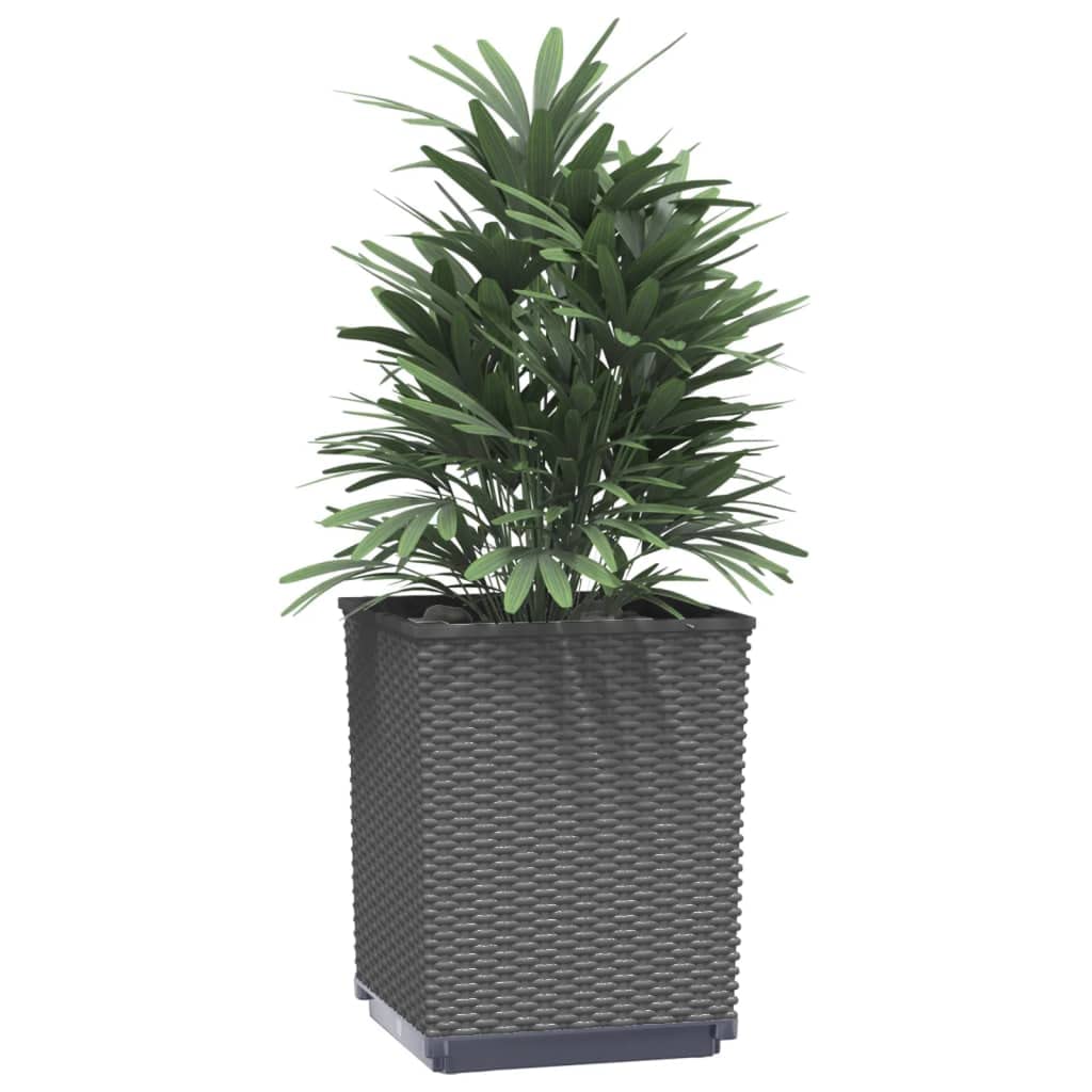 Fioriere 2 pz Nere 30x30x37 cm in Polipropilene, Vaso Rettangolare per Piante, Verdure, Erbe Aromatiche e Fiori per Giardino, Balcone o Patio