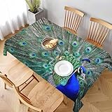 LoLo UoUo Peacock Tail Table Cloth 60x84 Inch Outdoor Beautiful Bird Peacock and Feathers Green Rectangle Waterproof Tablecloths Decorate for Kitchen Home Dinner Party