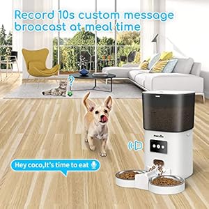   Automatic-WiFi-Cat-Feeders-for-Two-Cats-Double-Pet-Feeders-with-2-Stainless-Steel-Bowls-6L-Dry-Food-Dispenser-with-App-Control-for-Cat-Dog-10s-Meal-Call-and-Timer-Setting-Pet-Food-Dish