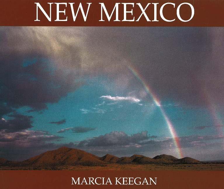 New Mexico      Hardcover – January 1, 1991