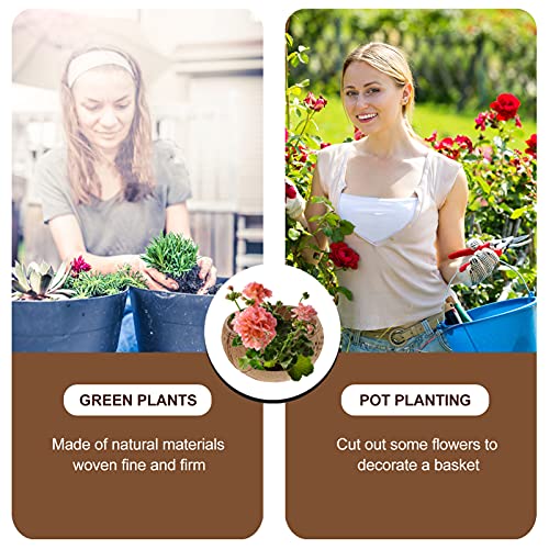 Hemoton Hanging Flower Basket Coconut Shell Flower Pot Orchid Flower Basket Planter Holder For Indoor Outdoor Garden Decorations Style B #TOP4